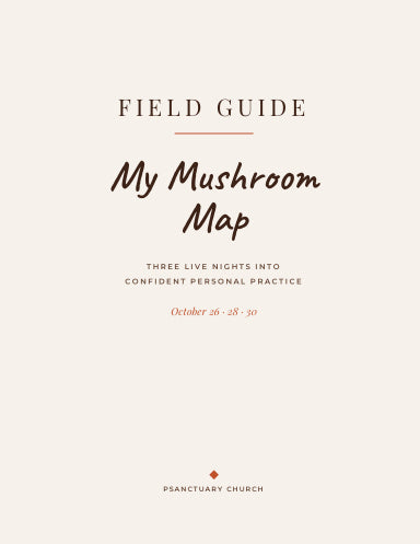 Book Cover Variant Thumbnail